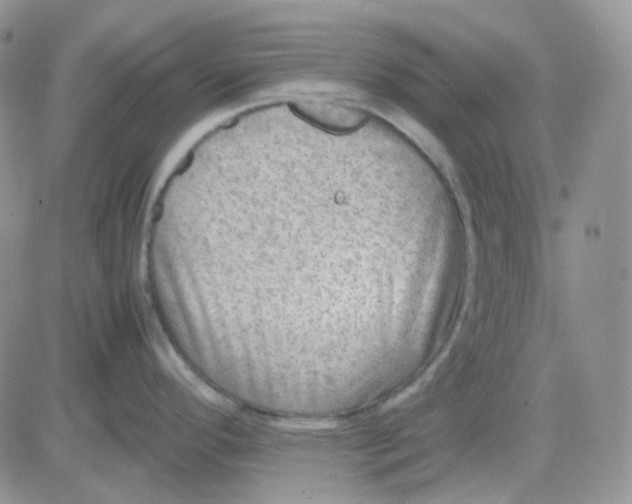 X0000081451296200701261903