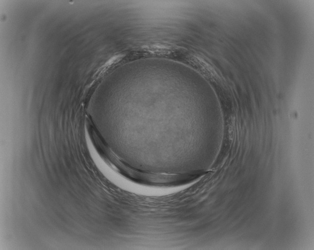 X0000081451298200701261902