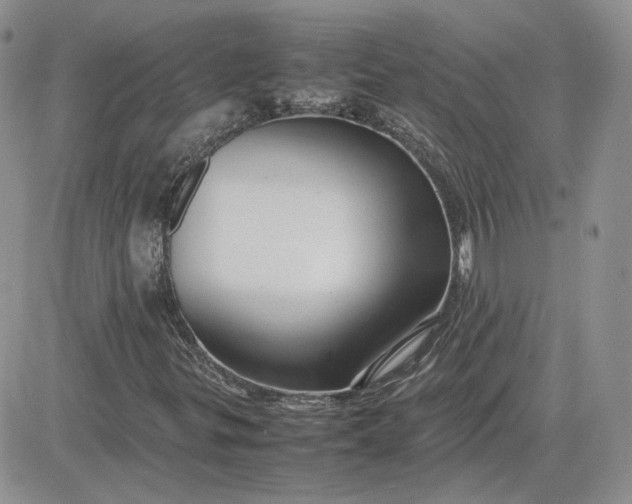 X0000081451299200701261902