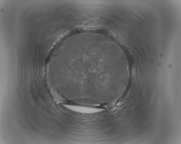 X0000081451300200701261902