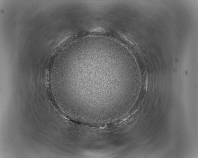 X0000081451301200701261902