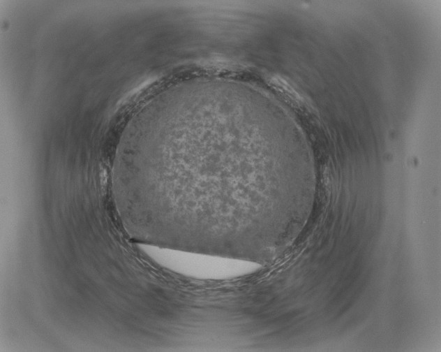 X0000081451302200701261902