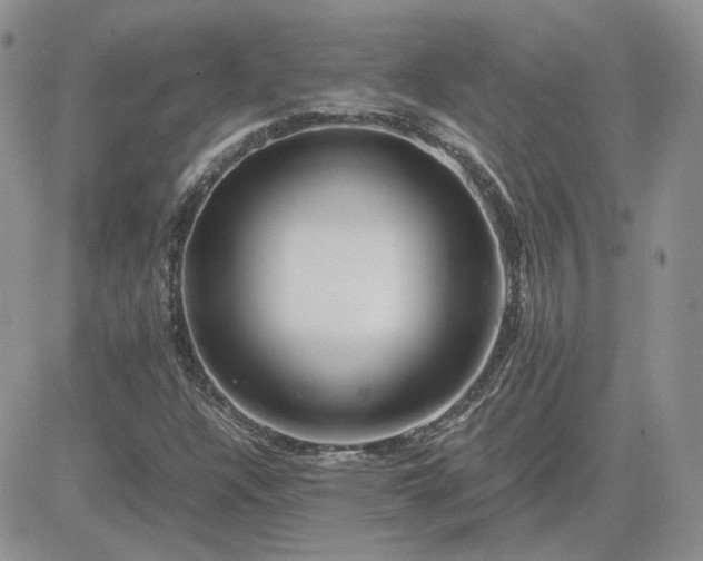 X0000081451304200701261902