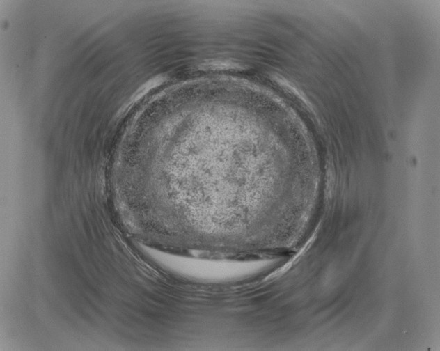 X0000081451305200701261902