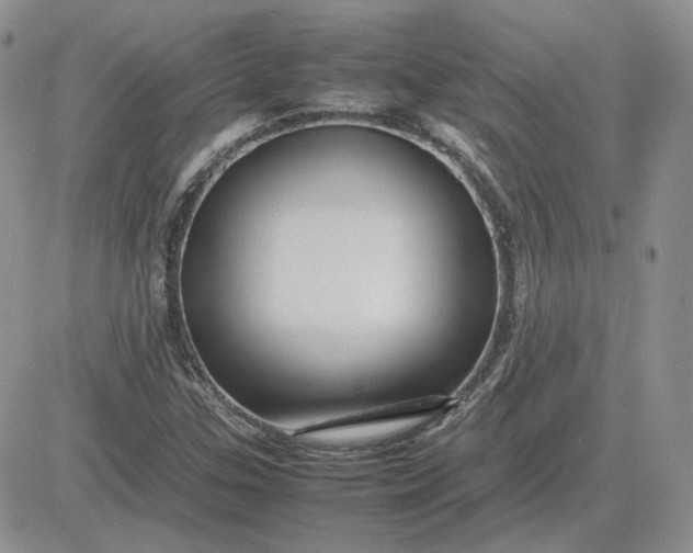 X0000081451307200701261902