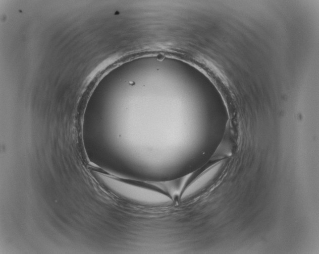 X0000081451308200701261903