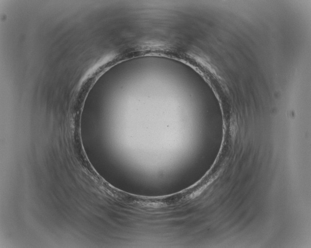 X0000081451309200701261903