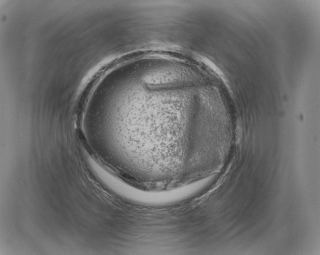 X0000081451310200701261903