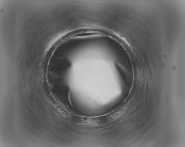 X0000081451311200701261903