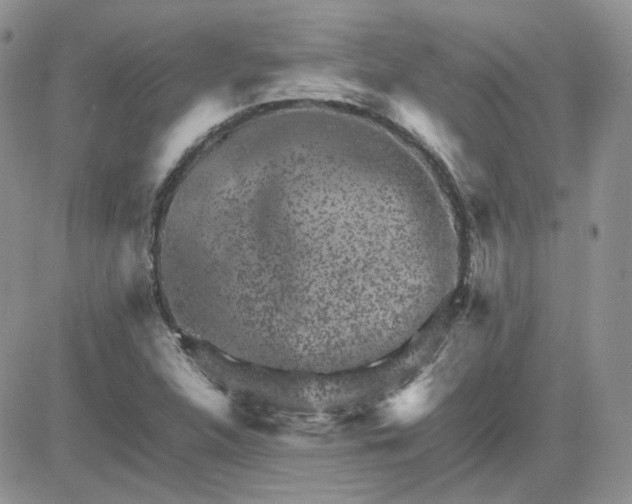 X0000081451312200701261903