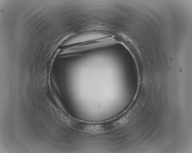 X0000081451313200701261903