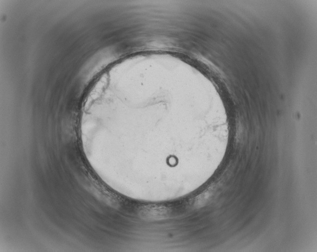 X0000081451314200701261903