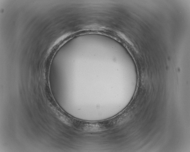 X0000081451315200701261903