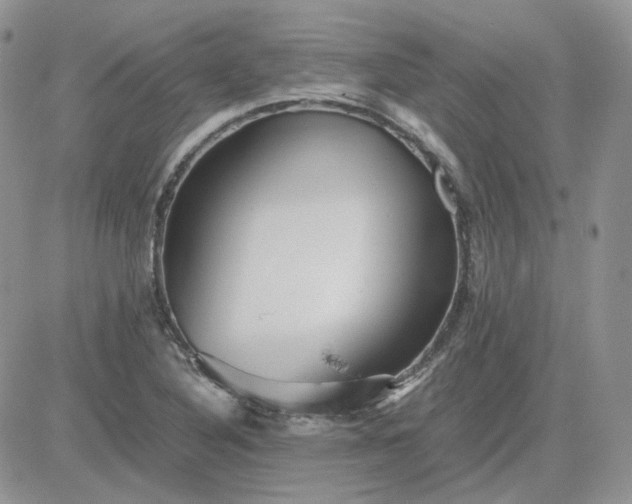 X0000081451316200701261903