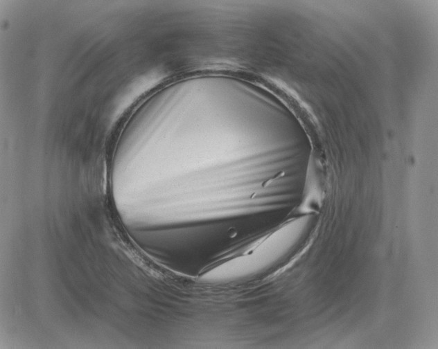 X0000081451317200701261903