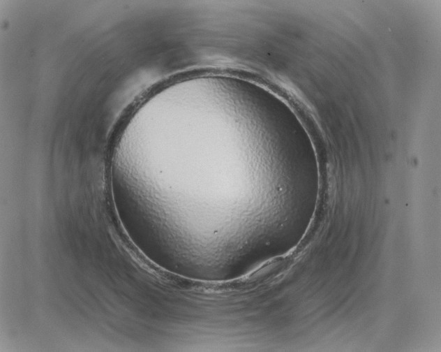 X0000081451318200701261903