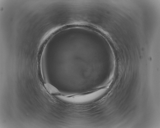 X0000081451319200701261903