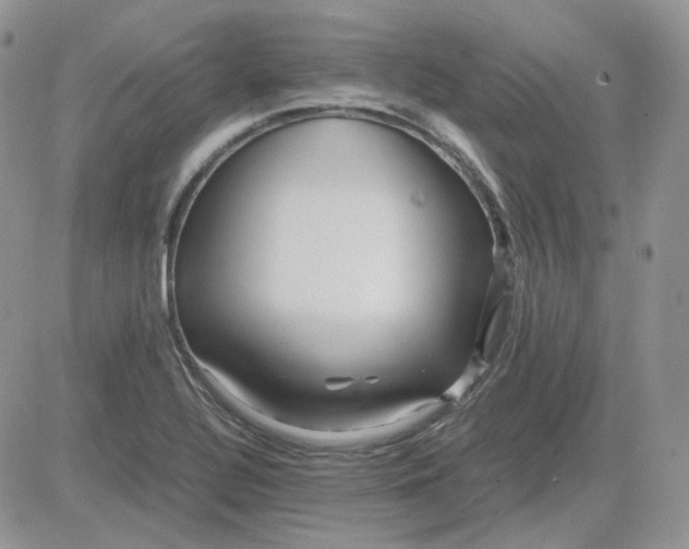 X0000081451320200701261903