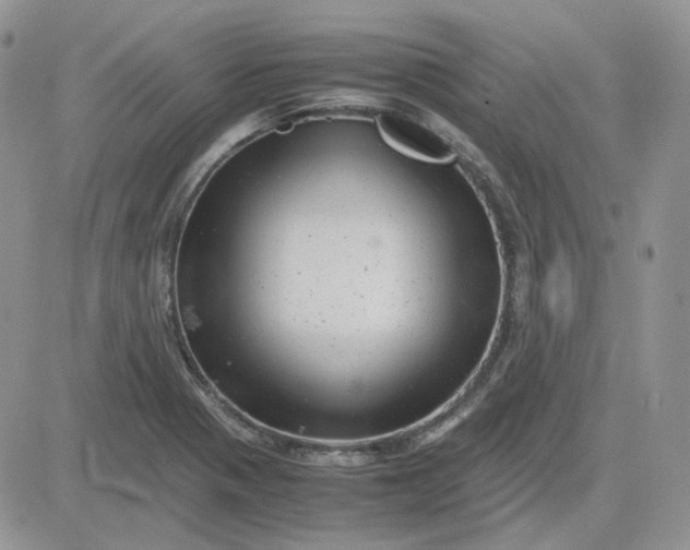 X0000081451321200701261903