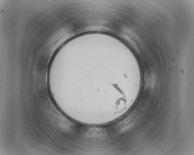 X0000081451322200701261903