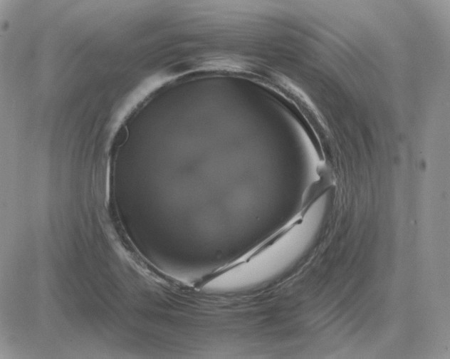 X0000081451323200701261903