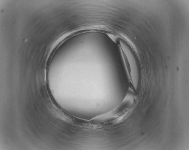 X0000081451324200701261903