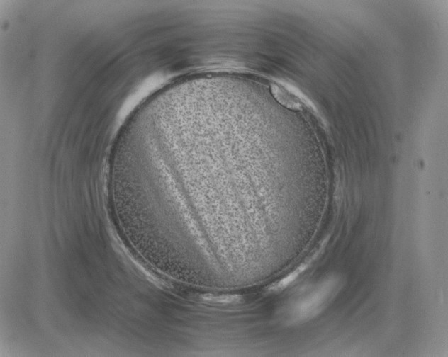 X0000081451325200701261903