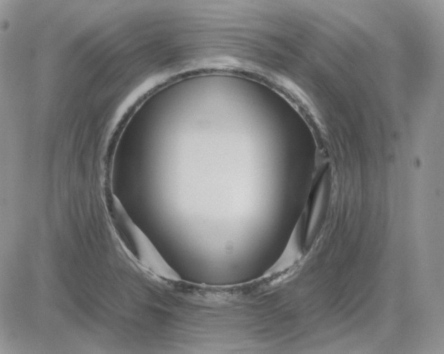 X0000081451326200701261903