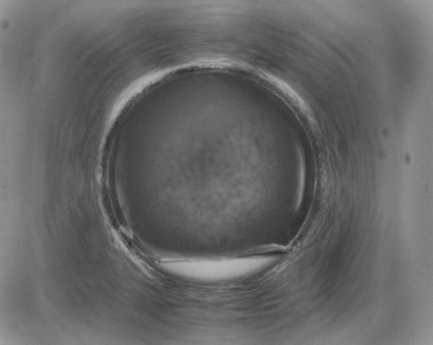 X0000081451327200701261903