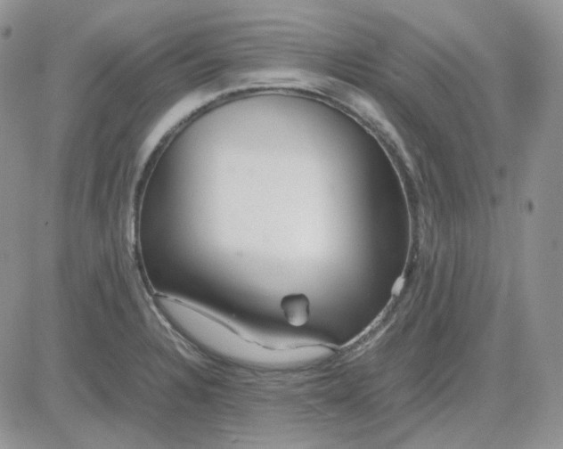 X0000081451328200701261903