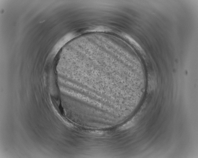 X0000081451329200701261903