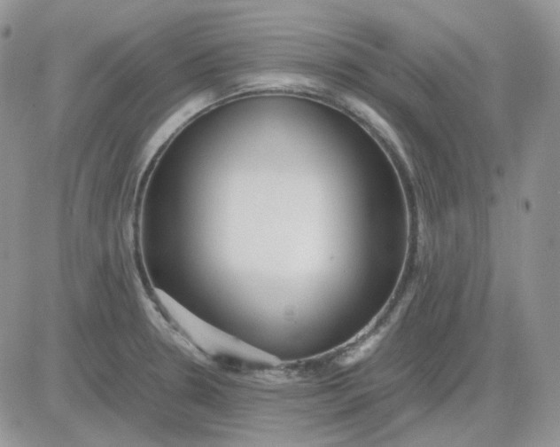 X0000081451330200701261903