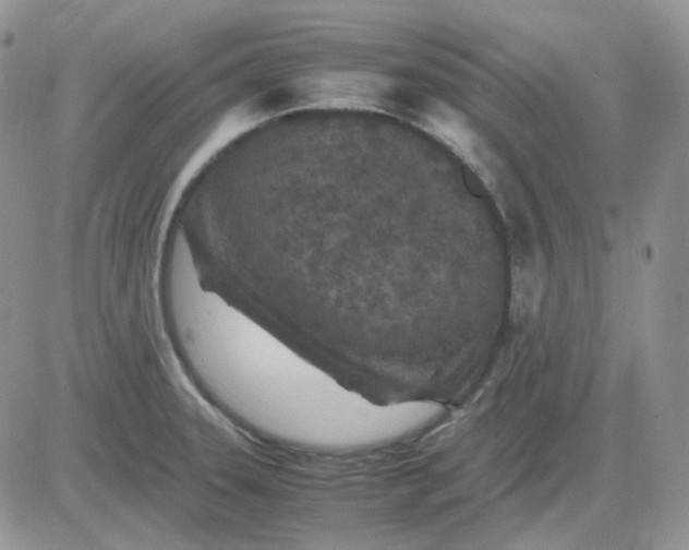 X0000081451331200701261903