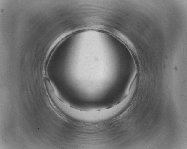 X0000081451332200701261903