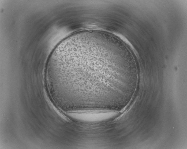 X0000081451333200701261903