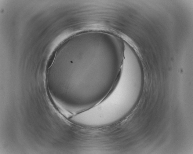 X0000081451334200701261903