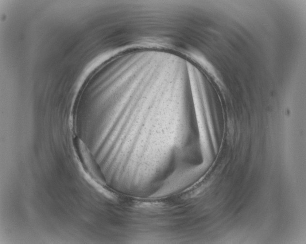 X0000081451335200701261903