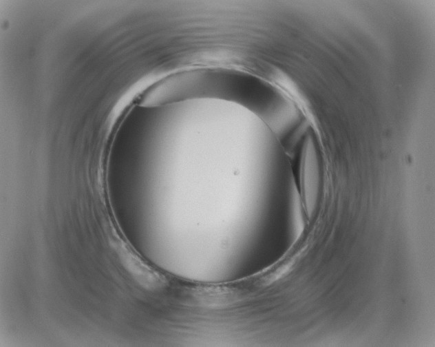 X0000081451336200701261903