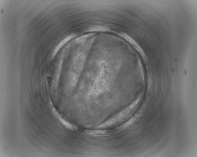 X0000081451337200701261903