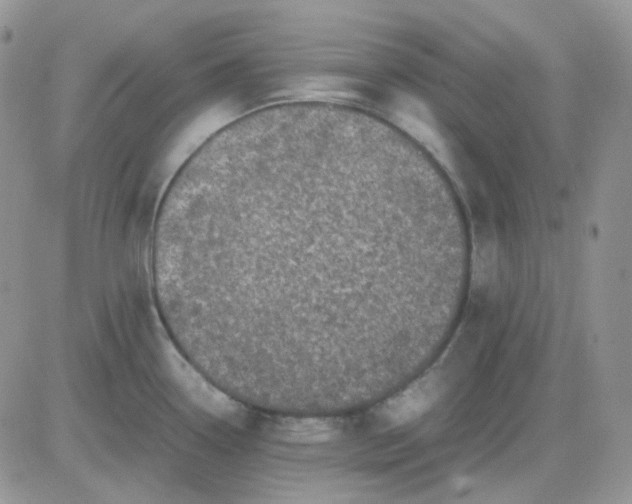 X0000081451338200701261903