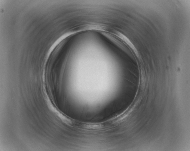 X0000081451339200701261903