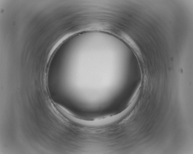 X0000081451340200701261903