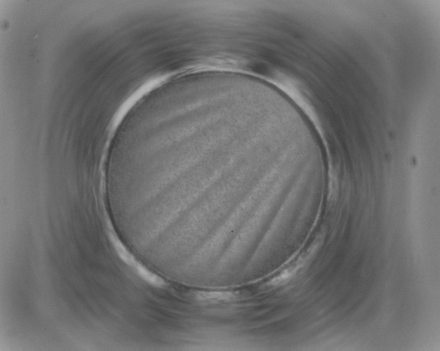 X0000081451341200701261903