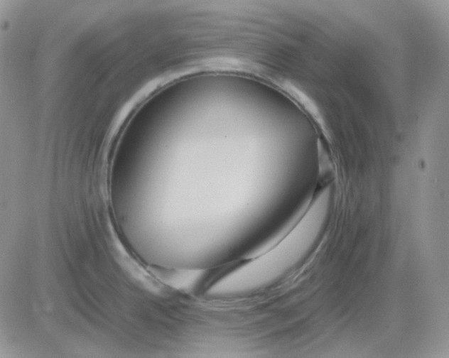 X0000081451342200701261903