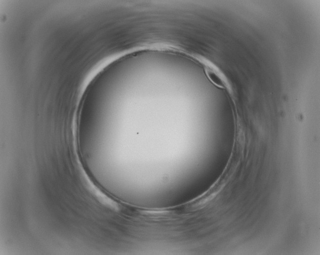 X0000081451343200701261903