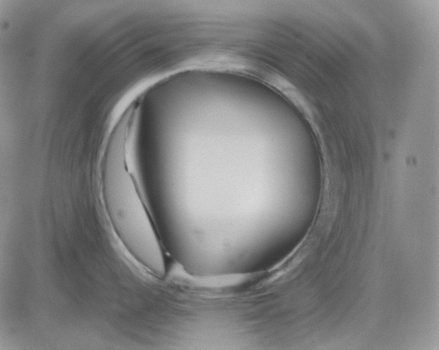 X0000081451344200701261903