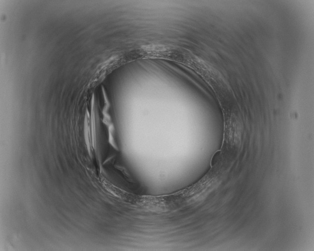 X0000081451346200701261902