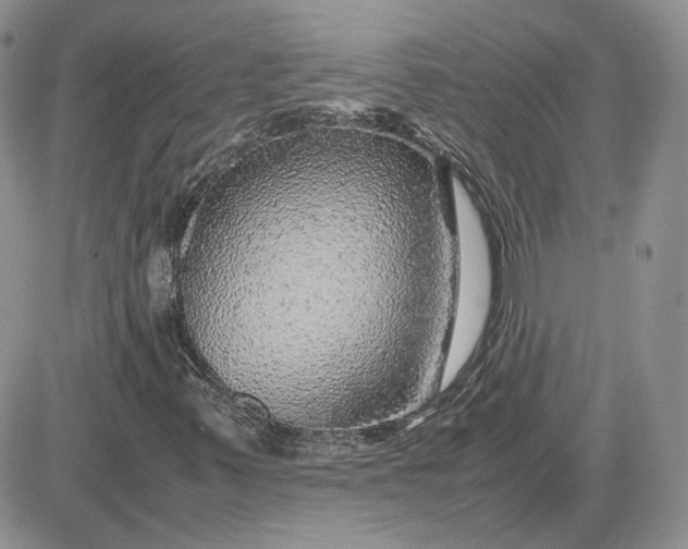 X0000081451347200701261902