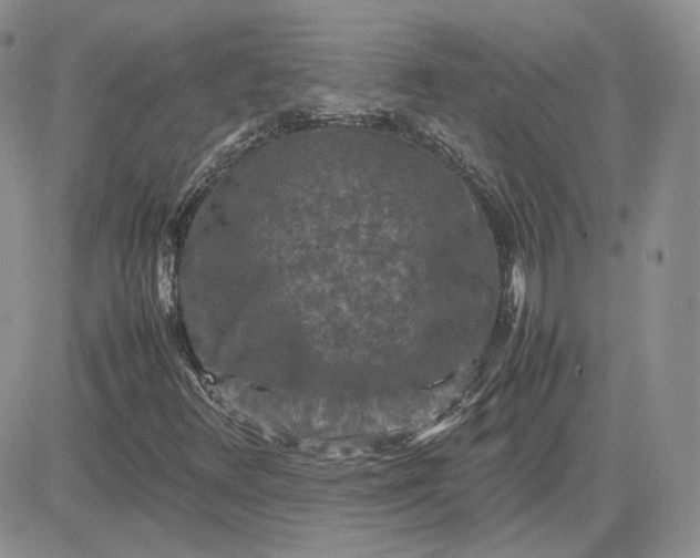 X0000081451348200701261902