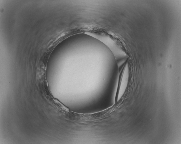 X0000081451349200701261902